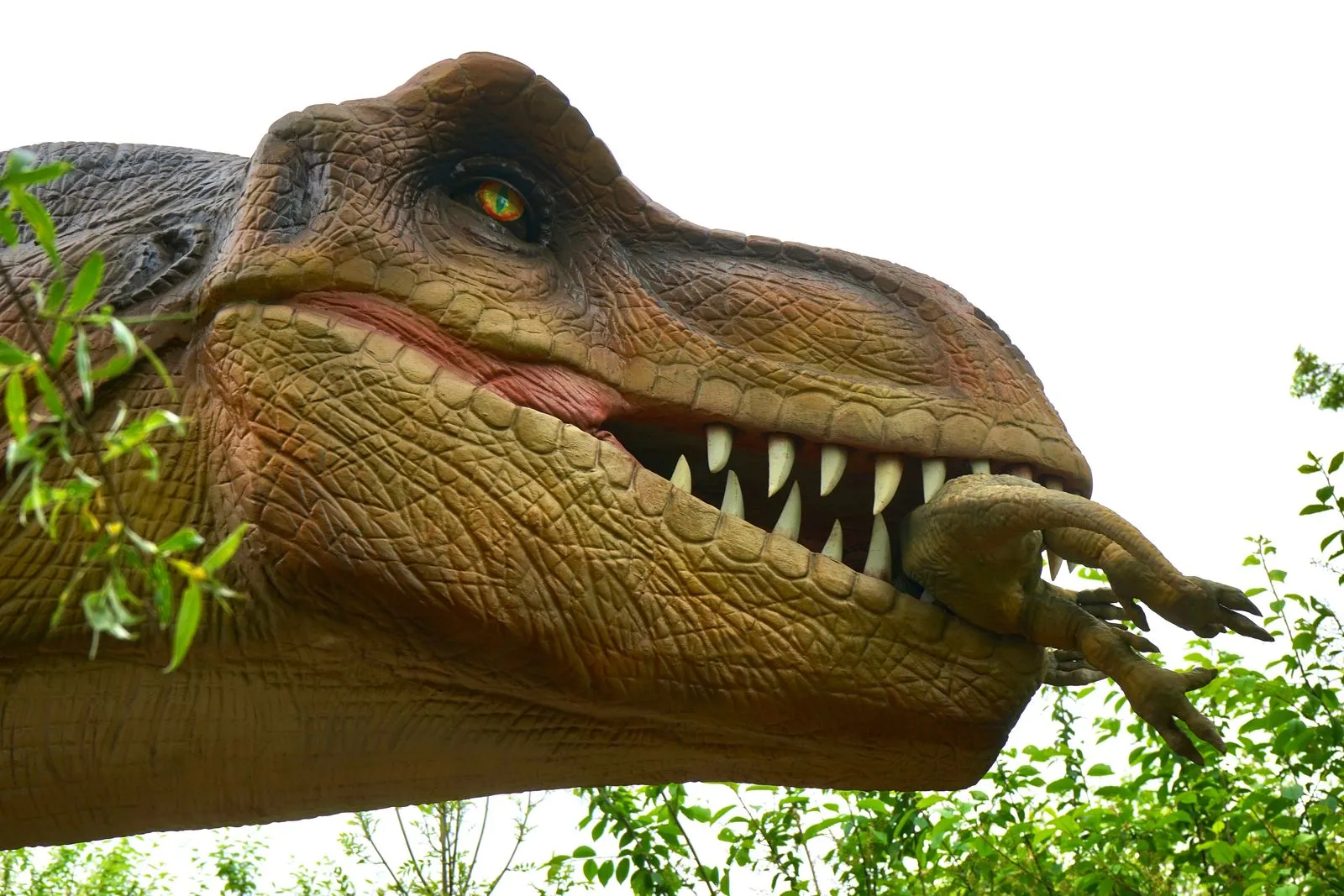 Modelo realista de tiranossauro rex de boca aberta entre a vegetação